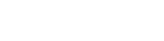 FiberCop